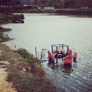 1011602_10206287719417145_106868858210729790_n